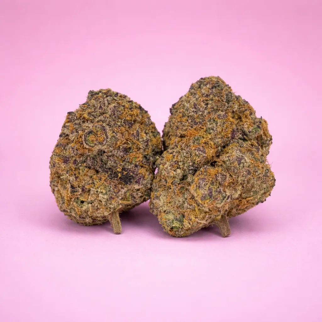 pink drink cannabis strain buds with sweet fruity aroma