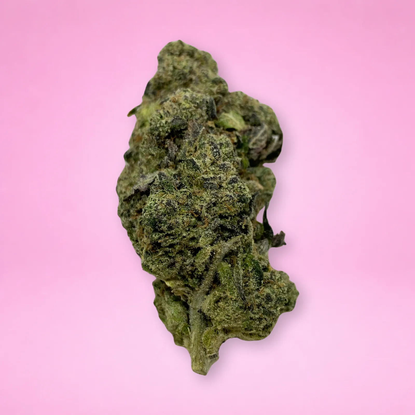 grape lobster cannabis strain buds with sweet grape aroma