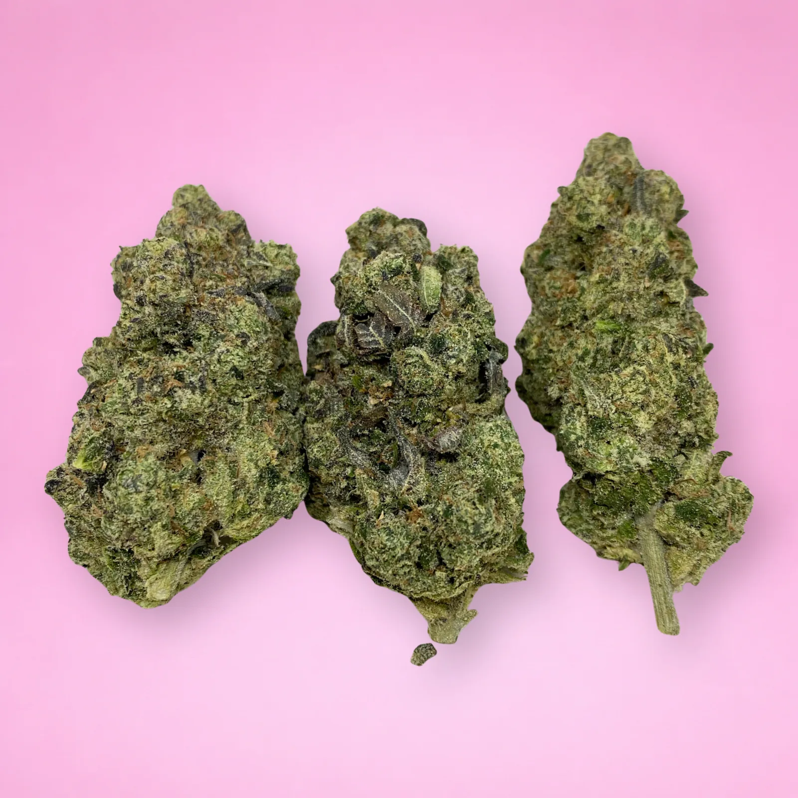grape lobster cannabis strain buds with sweet grape aroma