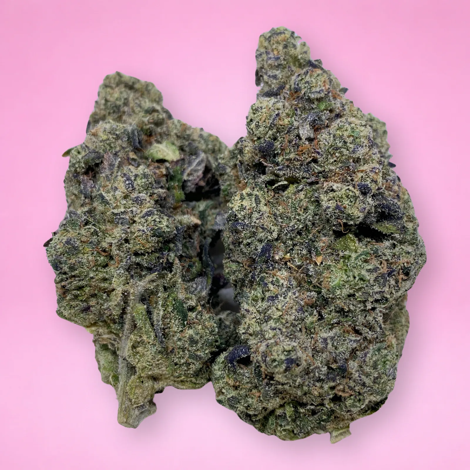 grape lobster cannabis strain buds with sweet grape aroma