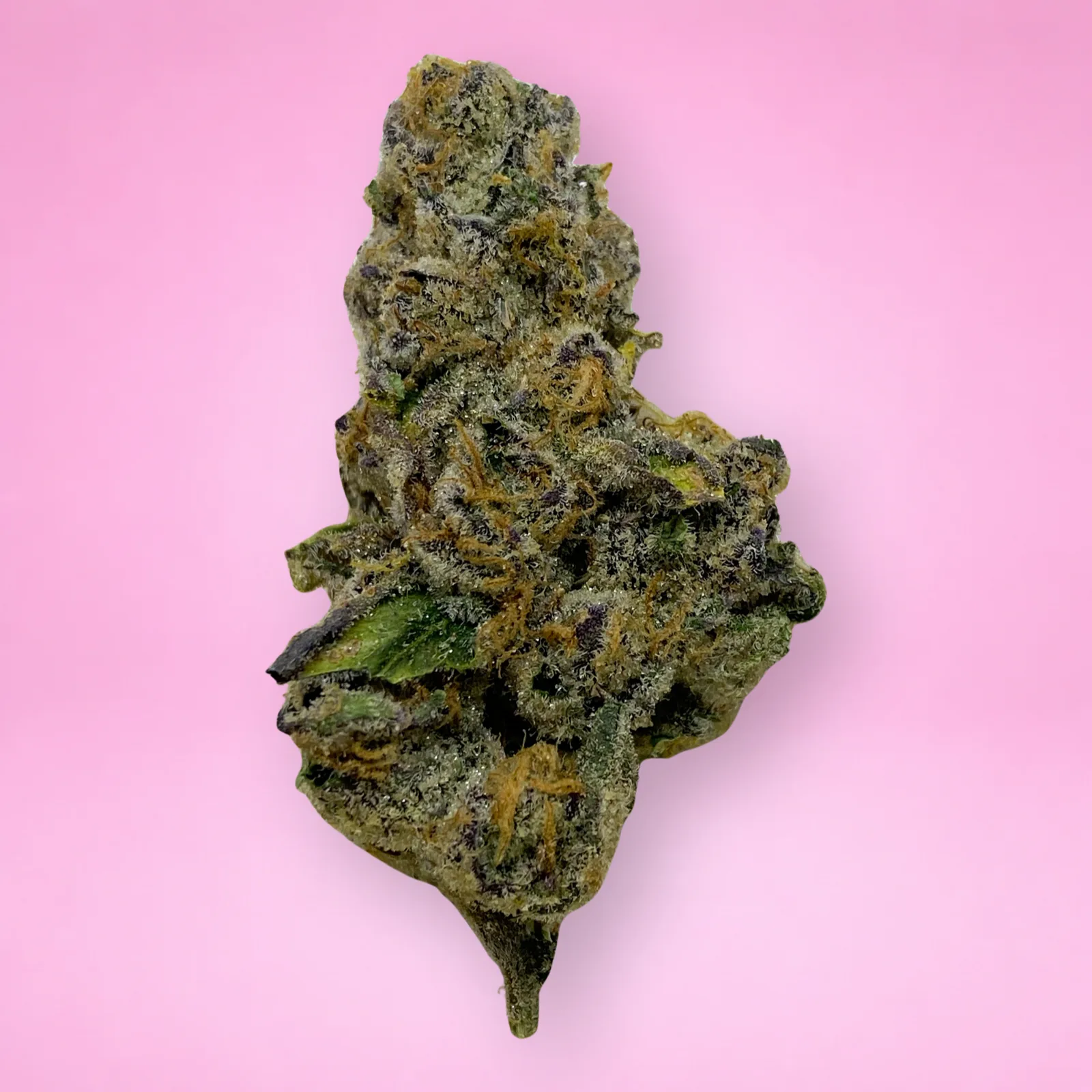 pineapple fruz cannabis strain buds with tropical citrus aroma