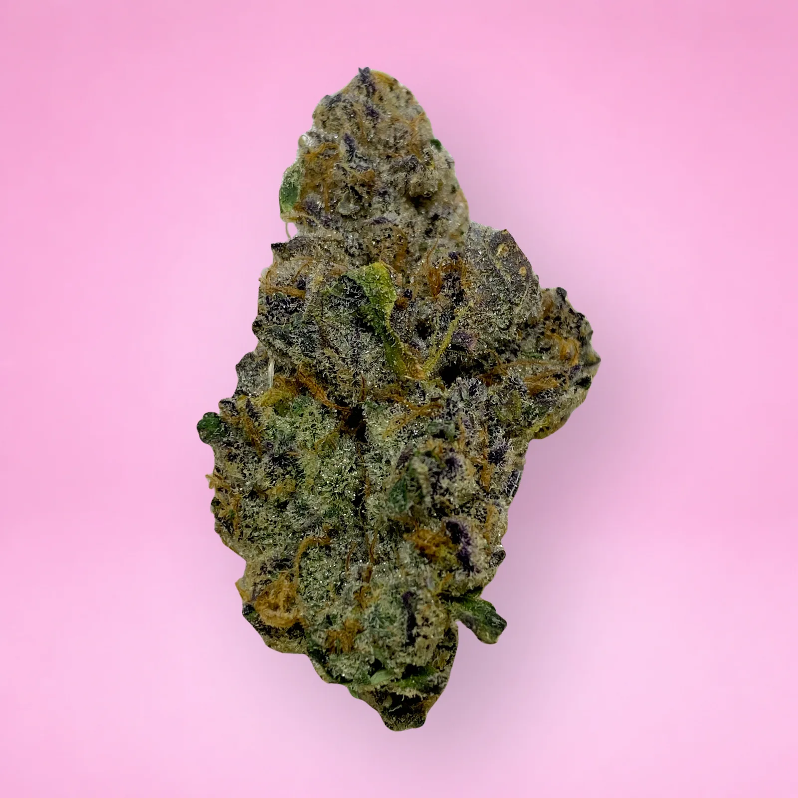pineapple fruz cannabis strain buds with tropical citrus aroma