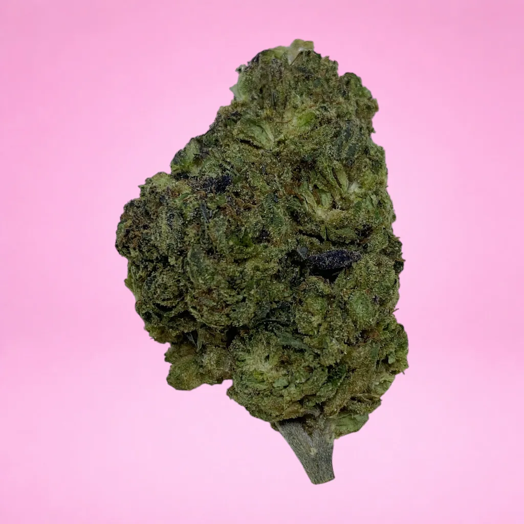 sour cherry cannabis strain buds with cherry citrus aroma