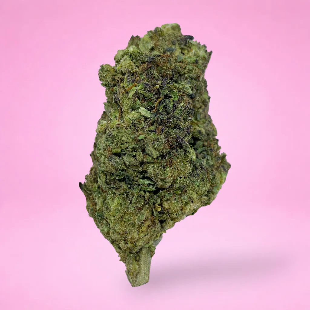 sour cherry cannabis strain buds with cherry citrus aroma