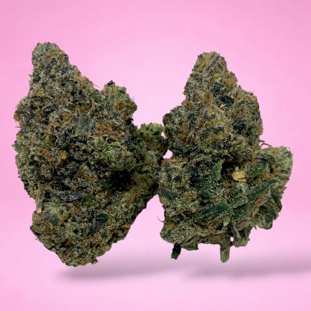 grape lobster cannabis strain buds with sweet grape aroma
