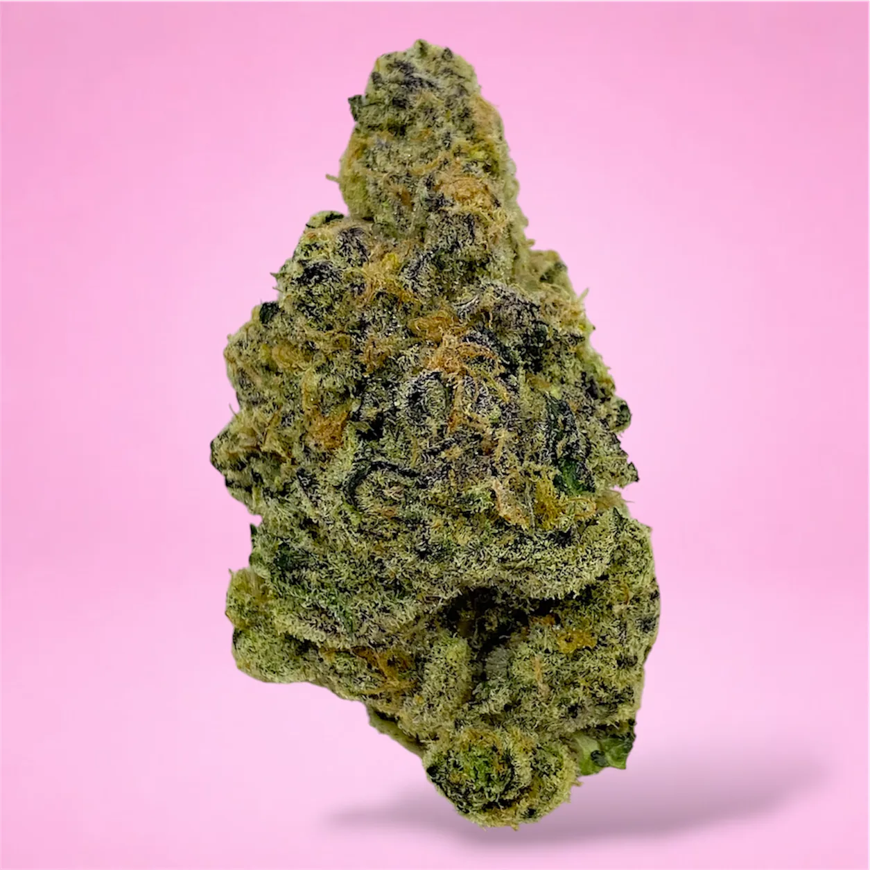 guava haze cannabis strain buds with tropical citrus and haze aroma