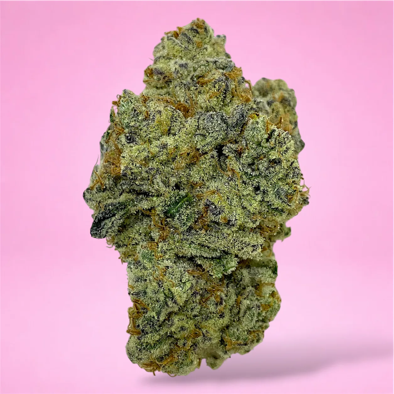 double dream cannabis strain buds with floral berry and spice aroma