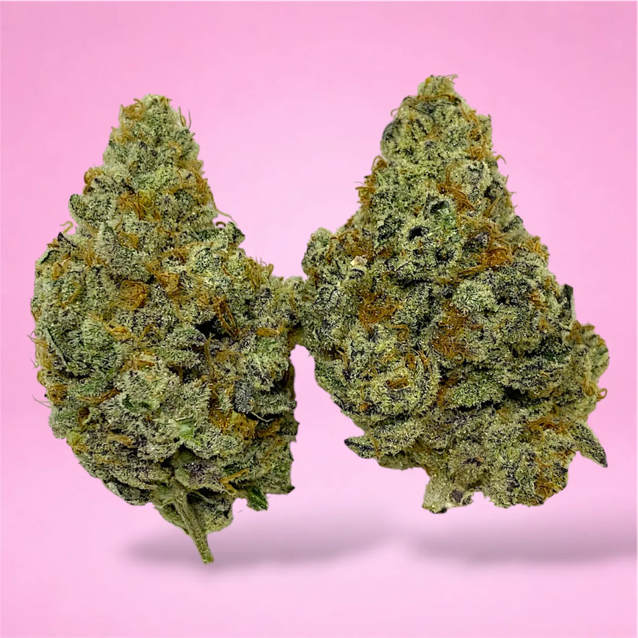 double dream cannabis strain buds with floral berry and spice aroma