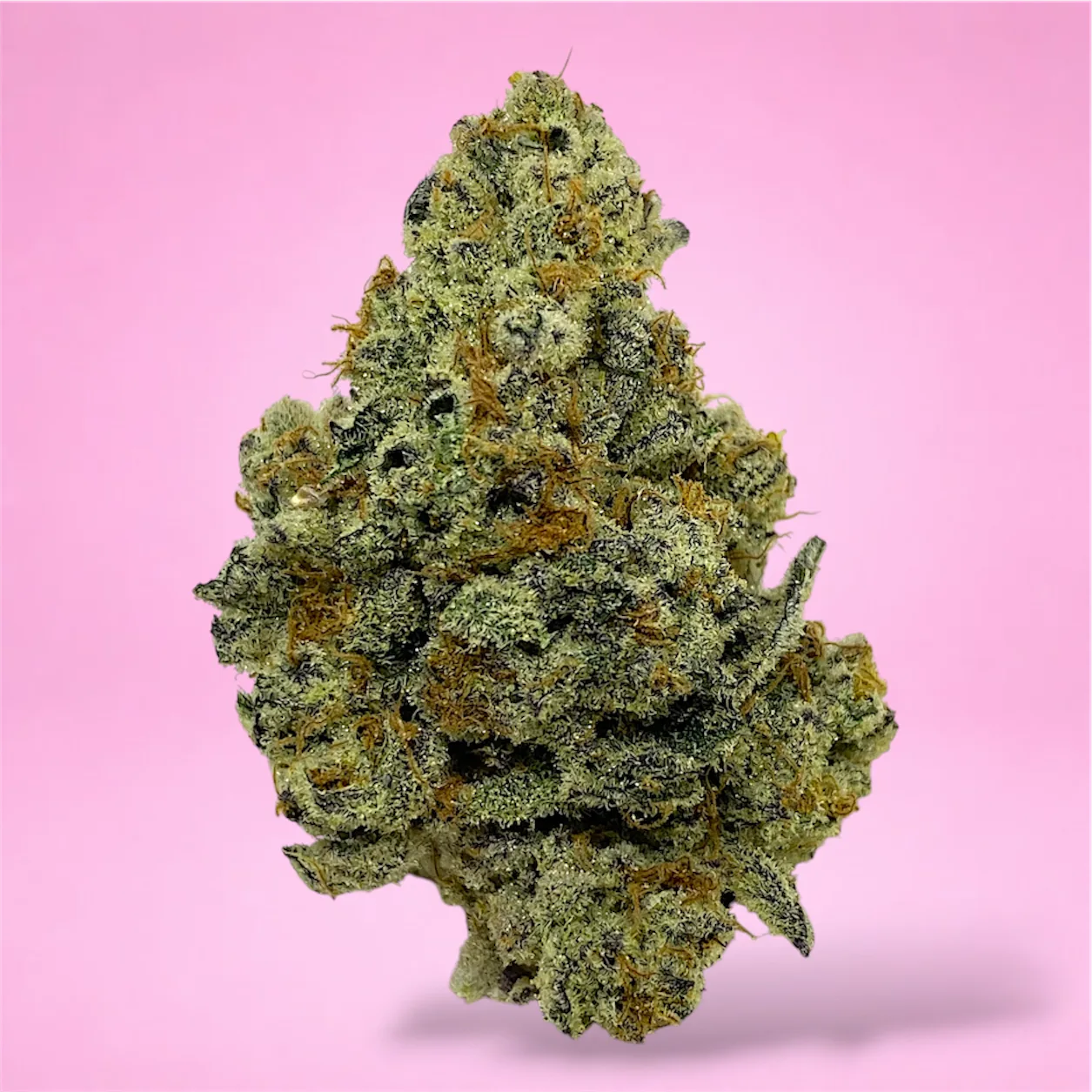 double dream cannabis strain buds with floral berry and spice aroma