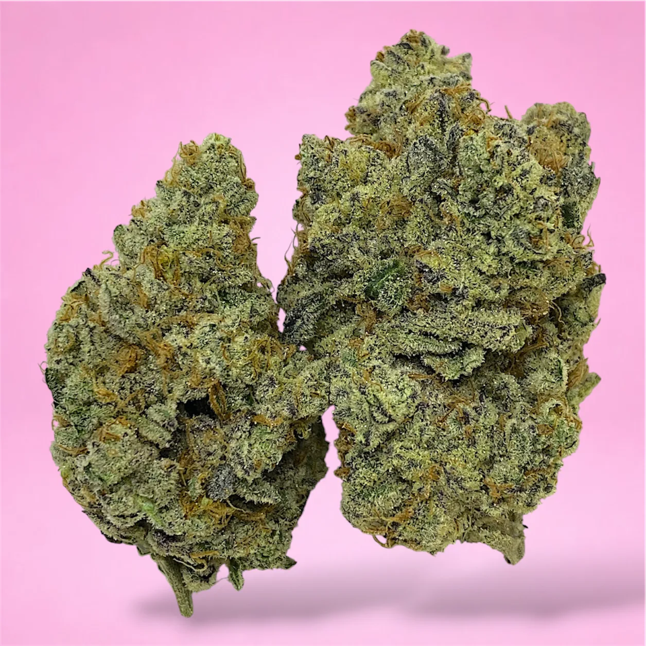double dream cannabis strain buds with floral berry and spice aroma
