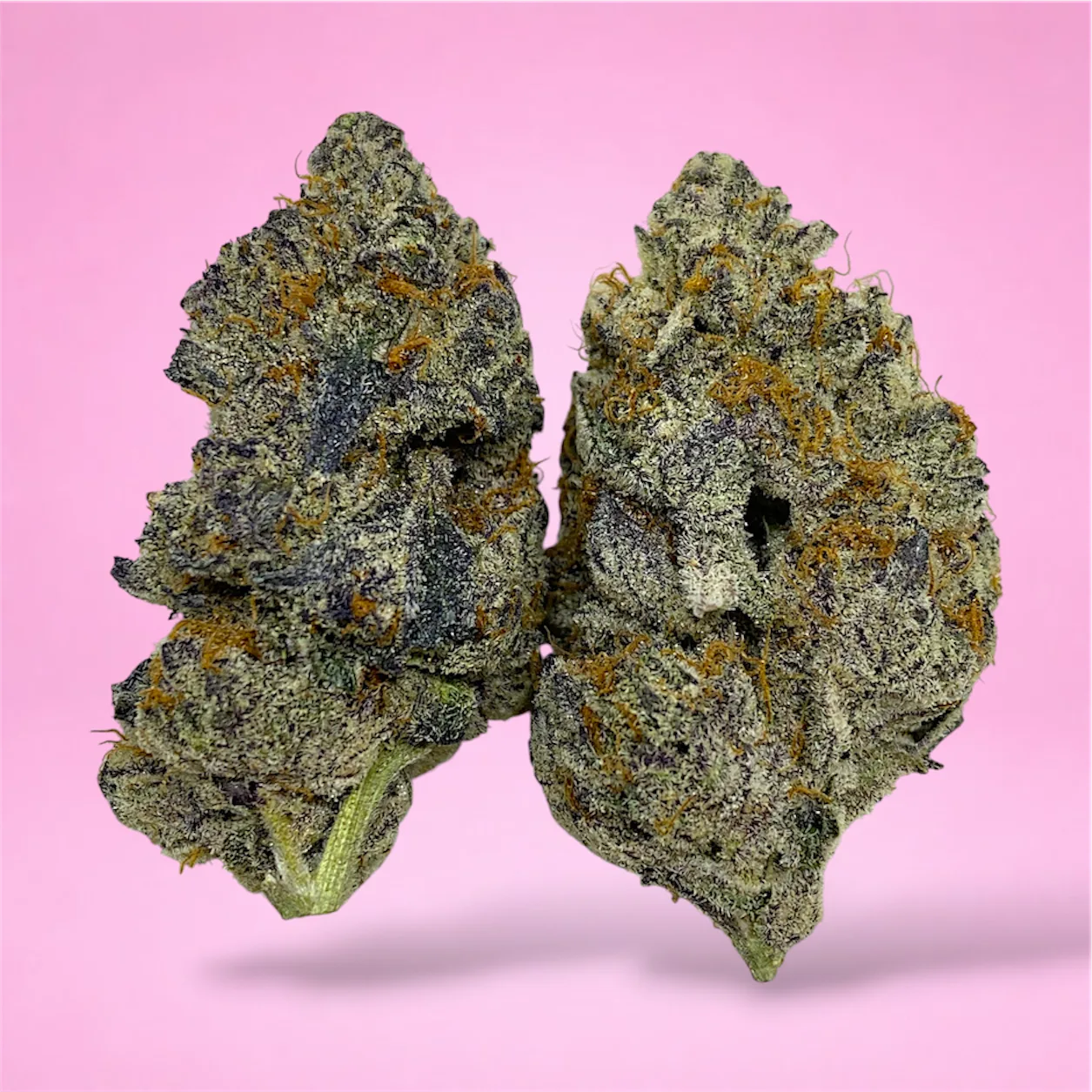 space juice cannabis strain buds with citrus and earthy aroma violet tinted trichomes