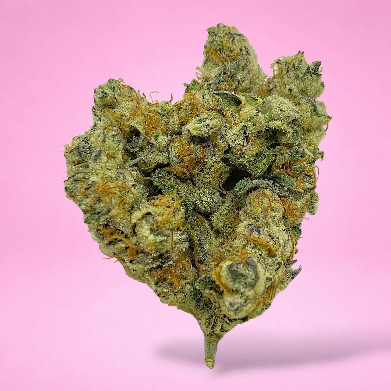 chimera junky cannabis strain buds with nutty cherry cream aroma