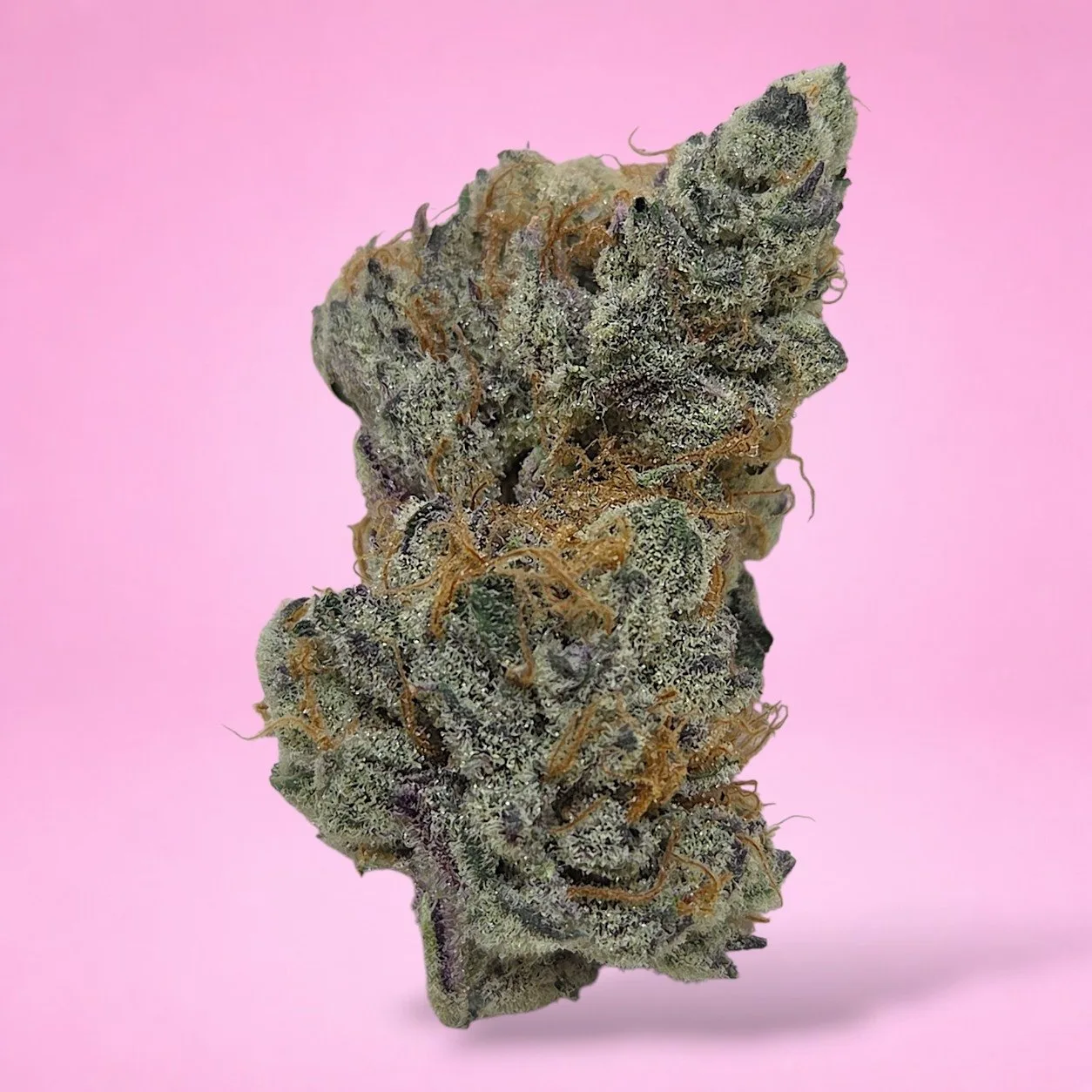 chimera junky cannabis strain buds with nutty cherry cream aroma