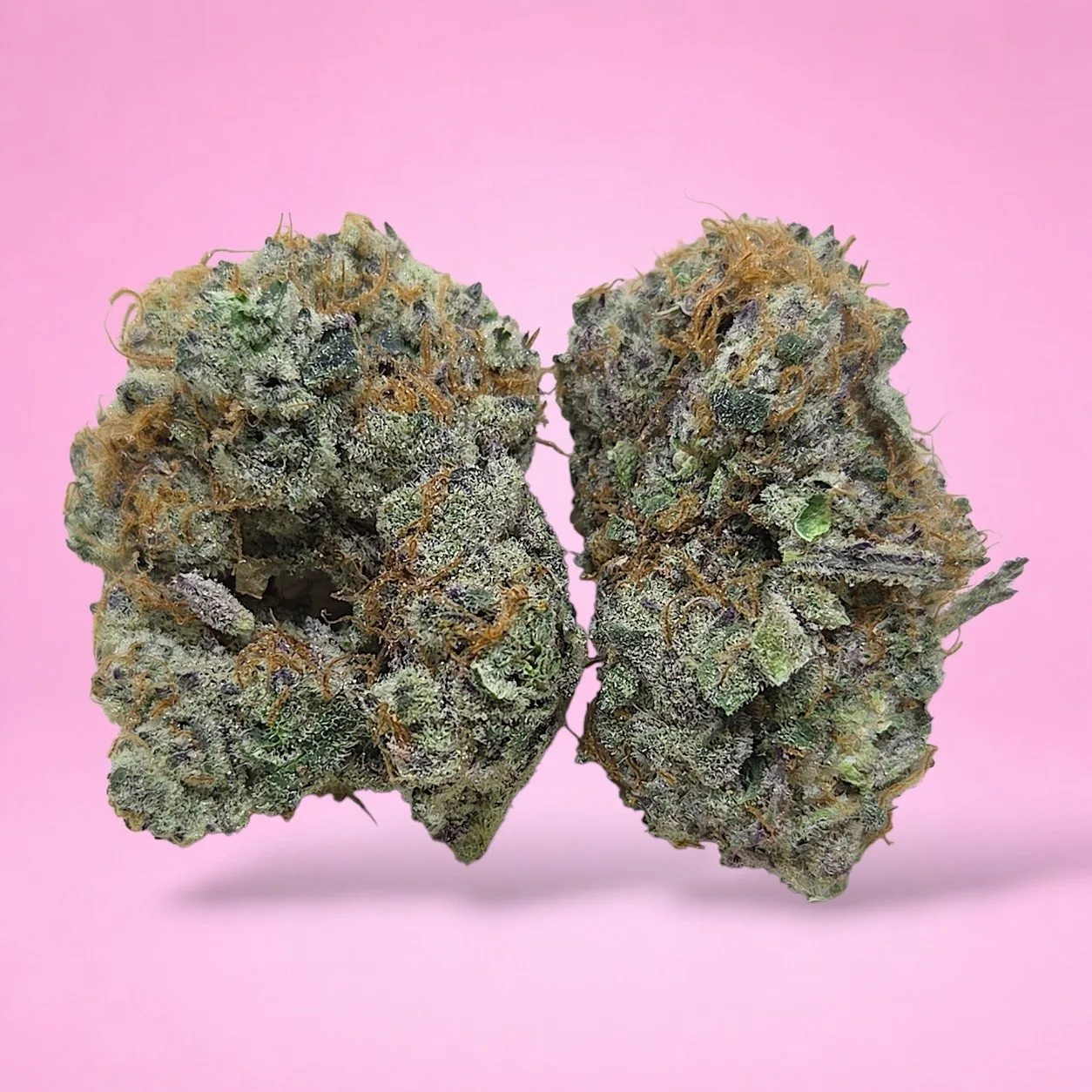 chimera junky cannabis strain buds with nutty cherry cream aroma