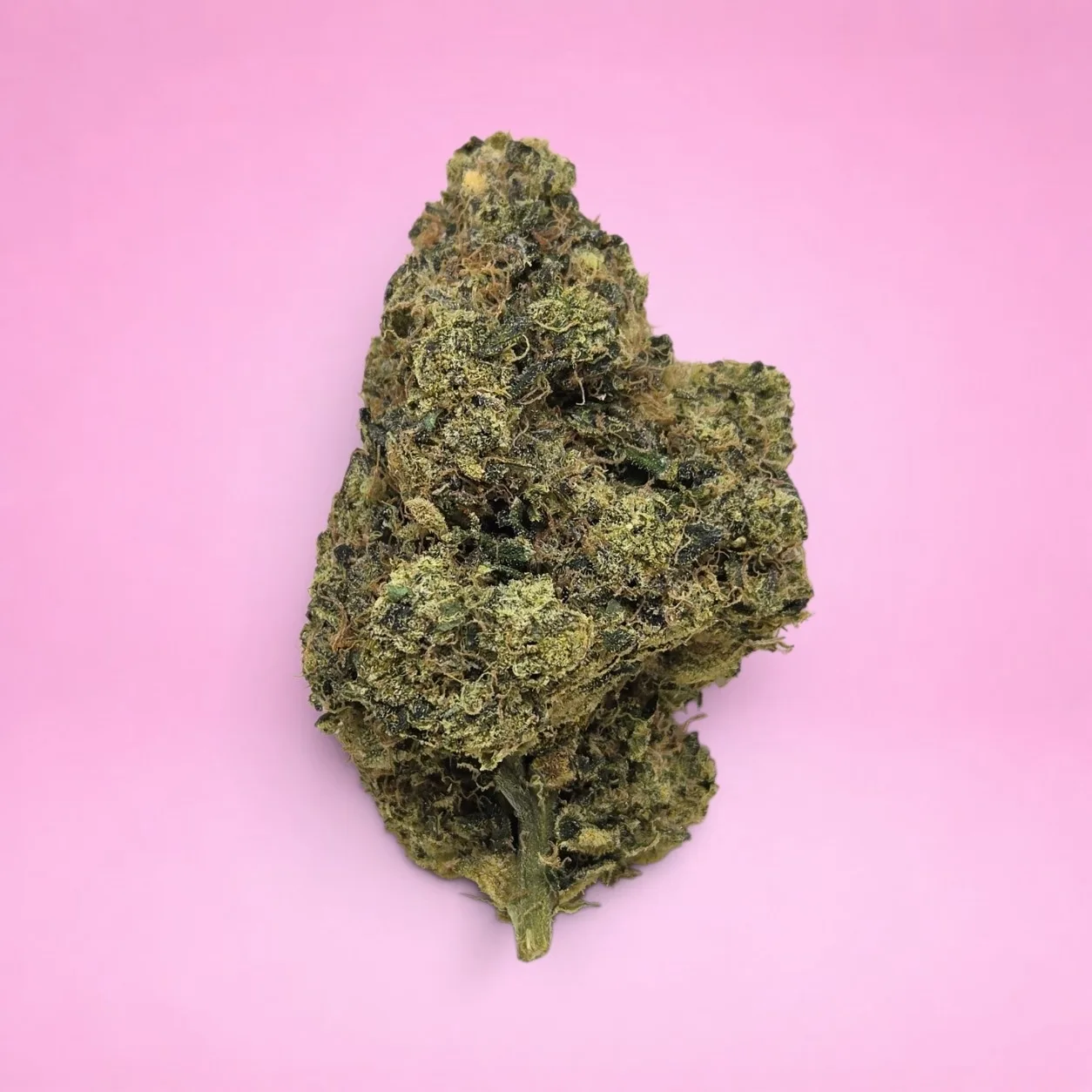 sour chem cannabis strain dense forest green buds orange pistils amber trichomes diesel aroma