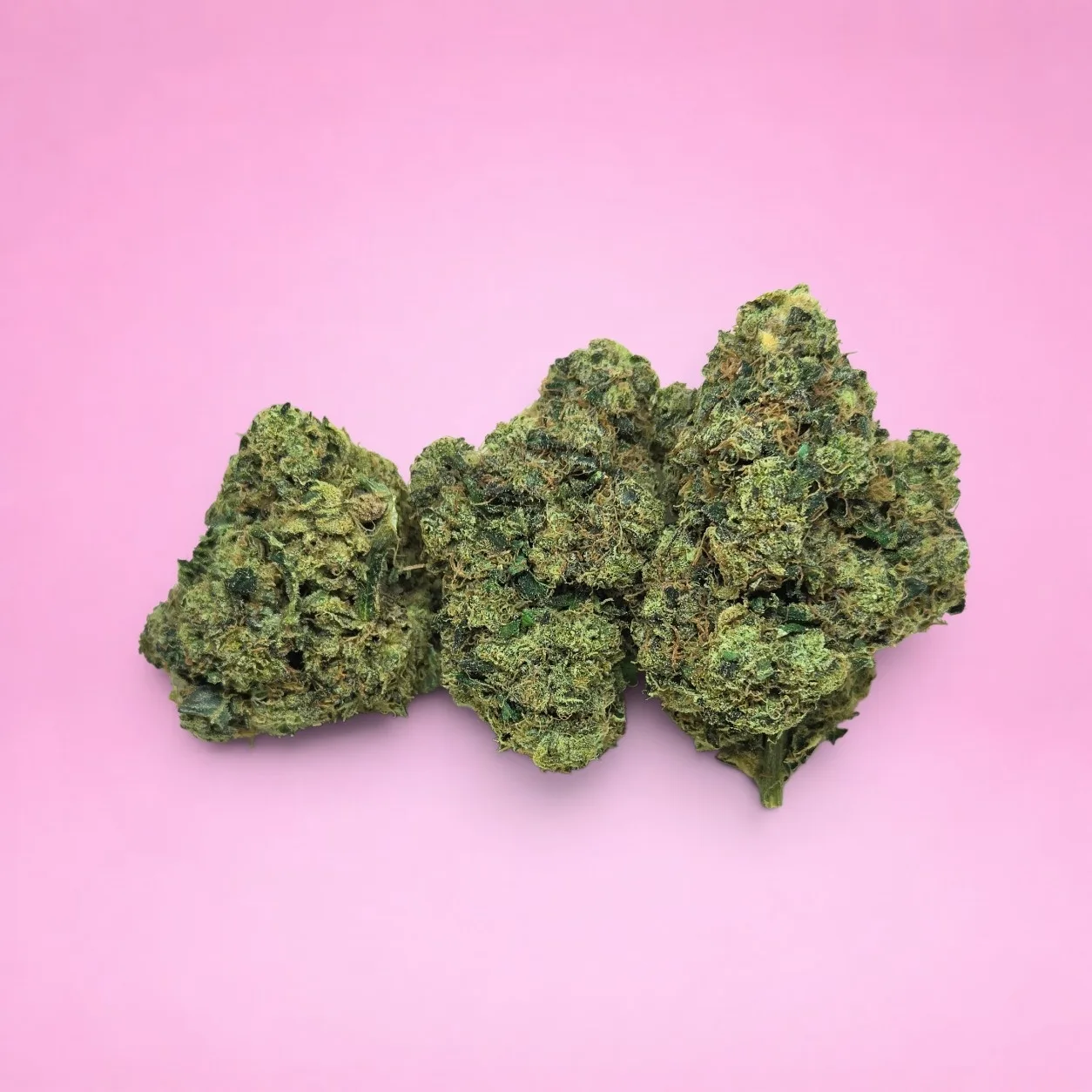 sour chem cannabis strain dense forest green buds orange pistils amber trichomes diesel aroma