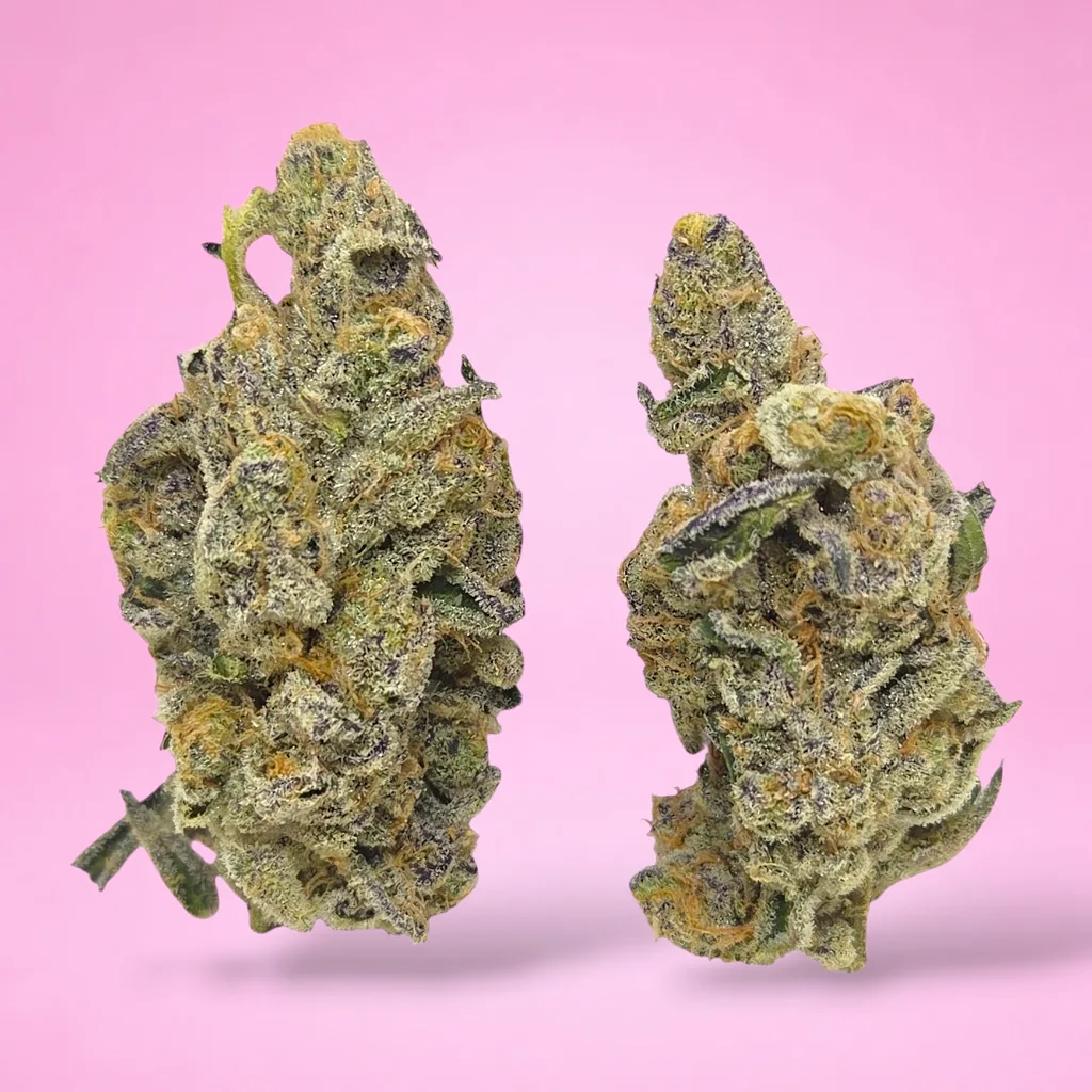 pink cotton candy cannabis strain dense frosted buds sweet floral aroma pink tinted trichomes