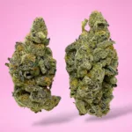 PINK COTTON CANDY