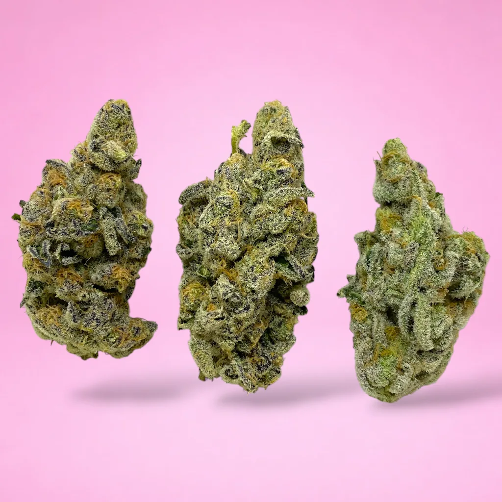 pink cotton candy cannabis strain dense frosted buds sweet floral aroma pink tinted trichomes