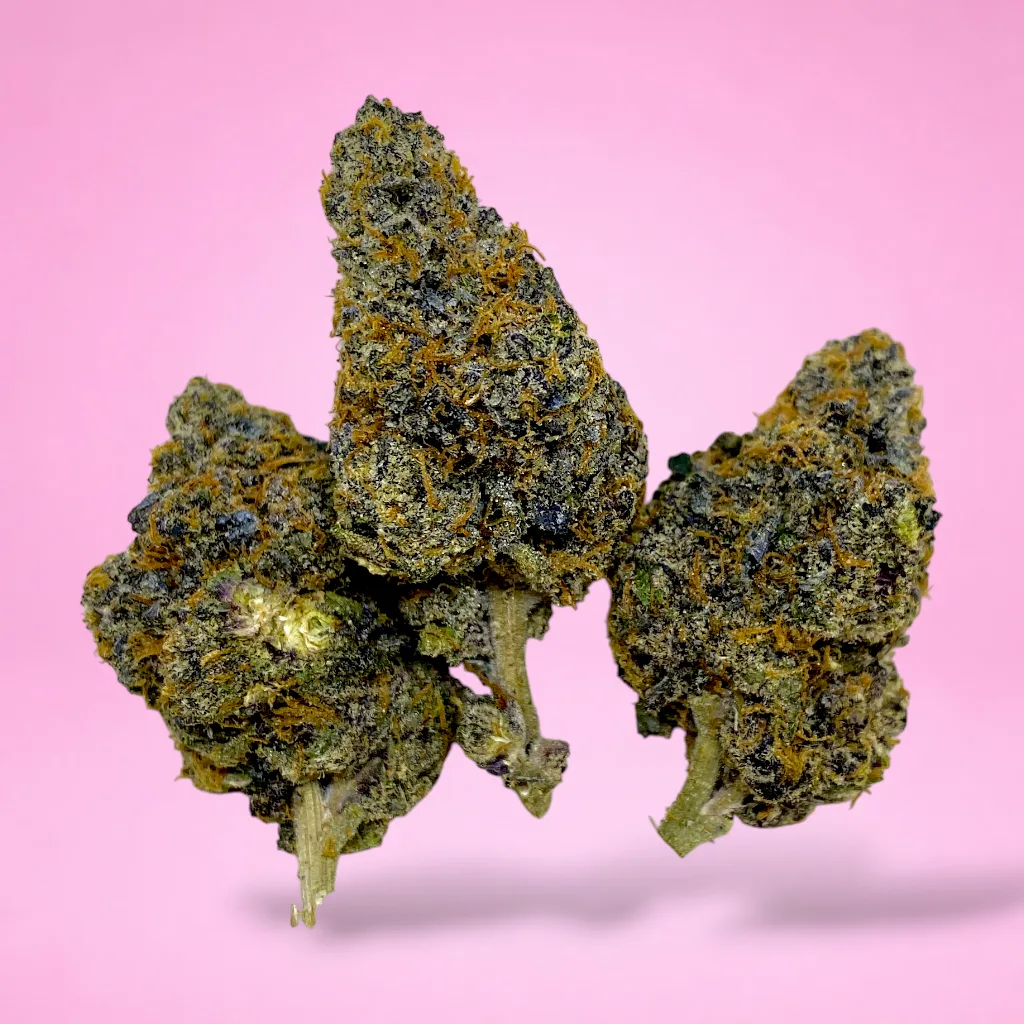 kept secret cannabis strain light green buds orange hairs golden trichomes garlic pepper earthy aroma