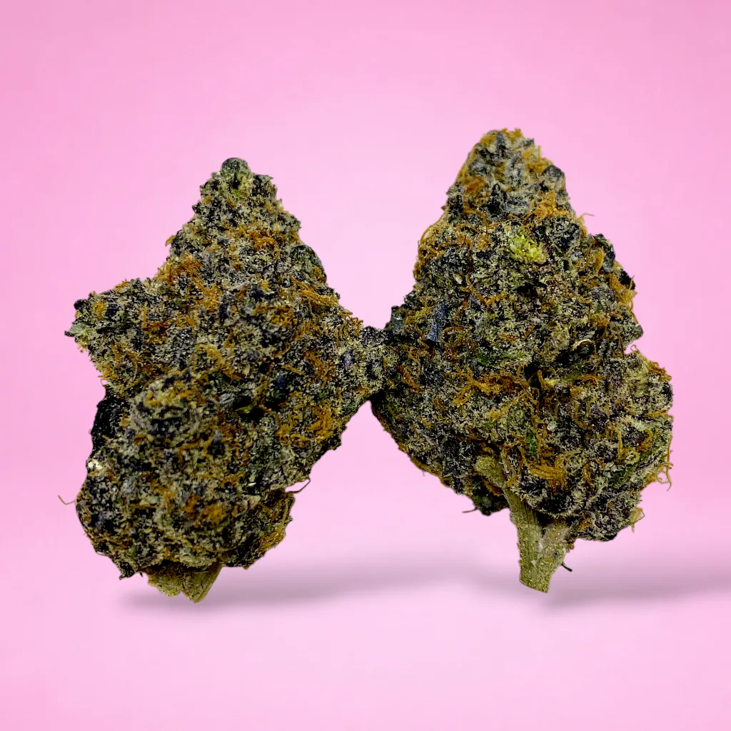 kept secret cannabis strain light green buds orange hairs golden trichomes garlic pepper earthy aroma