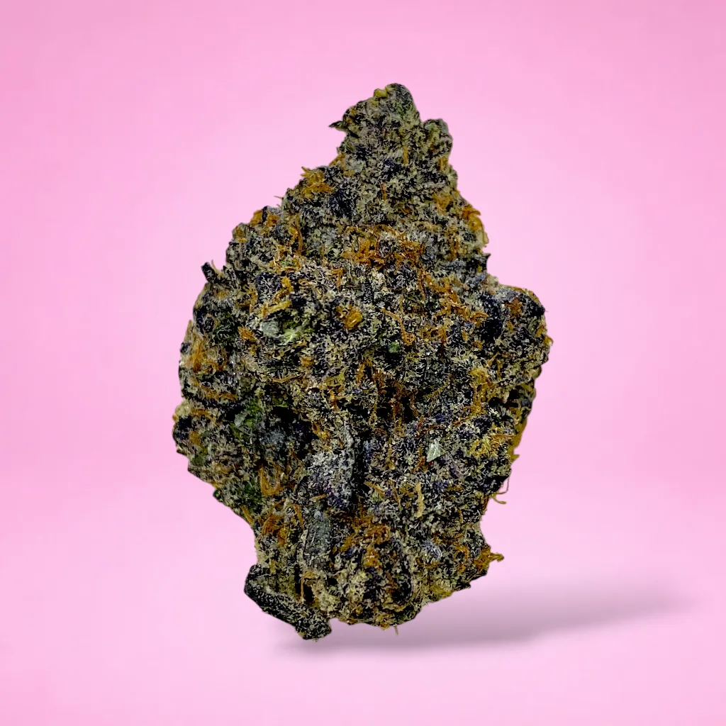 kept secret cannabis strain light green buds orange hairs golden trichomes garlic pepper earthy aroma