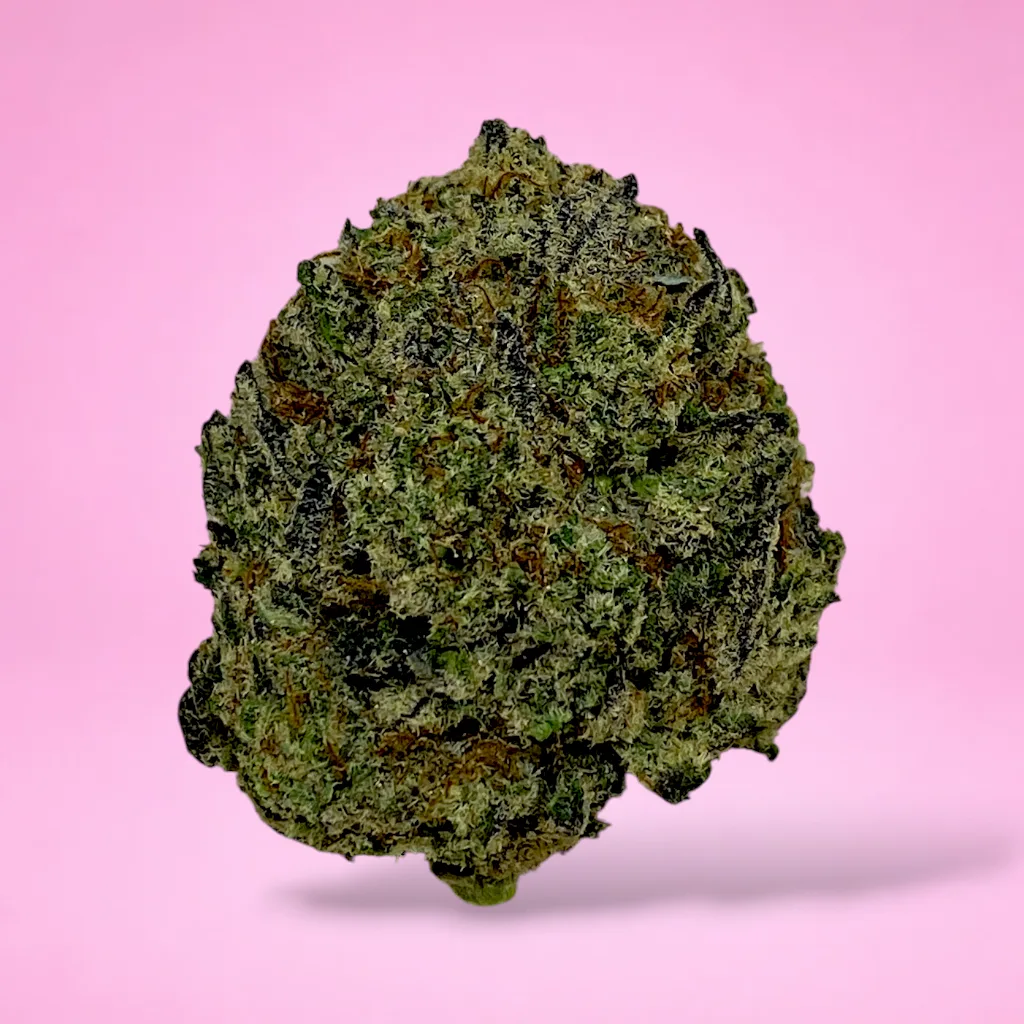oreoz cannabis strain dense dark buds orange hairs crystal trichomes chocolate vanilla aroma