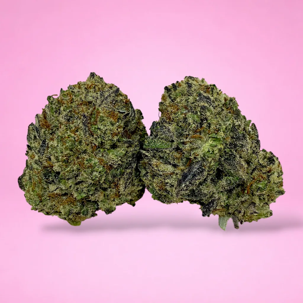 oreoz cannabis strain dense dark buds orange hairs crystal trichomes chocolate vanilla aroma