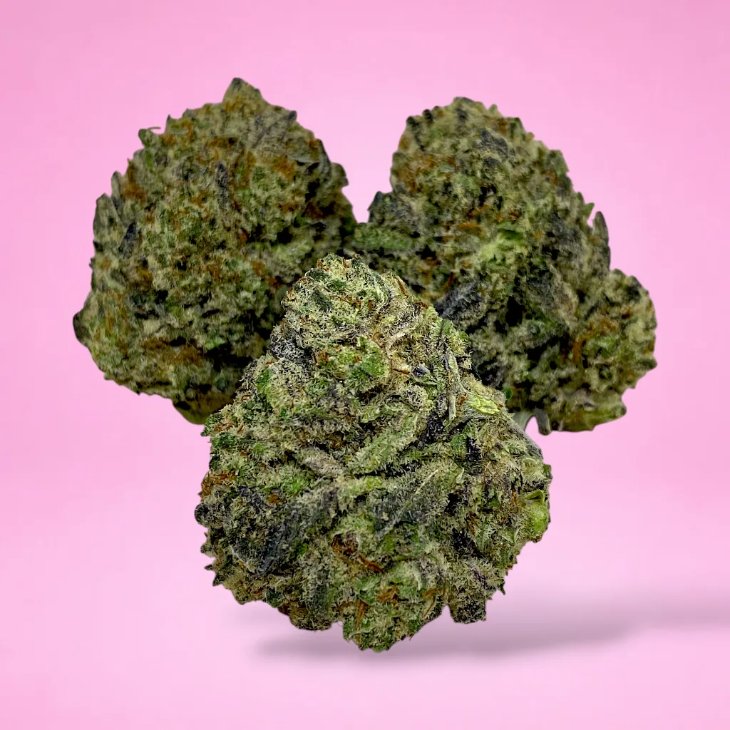oreoz cannabis strain dense dark buds orange hairs crystal trichomes chocolate vanilla aroma