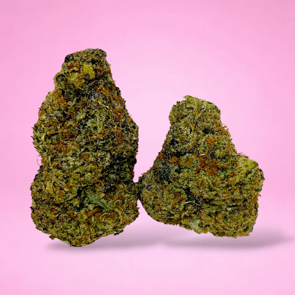 gelonade cannabis strain dense purple buds orange hairs sticky trichomes citrus aroma