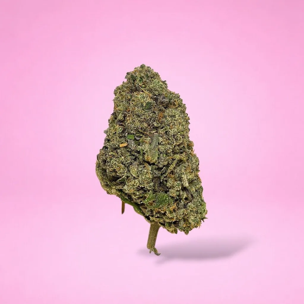 blueberry sherbet cannabis strain dense olive green buds blue undertones orange hairs trichomes