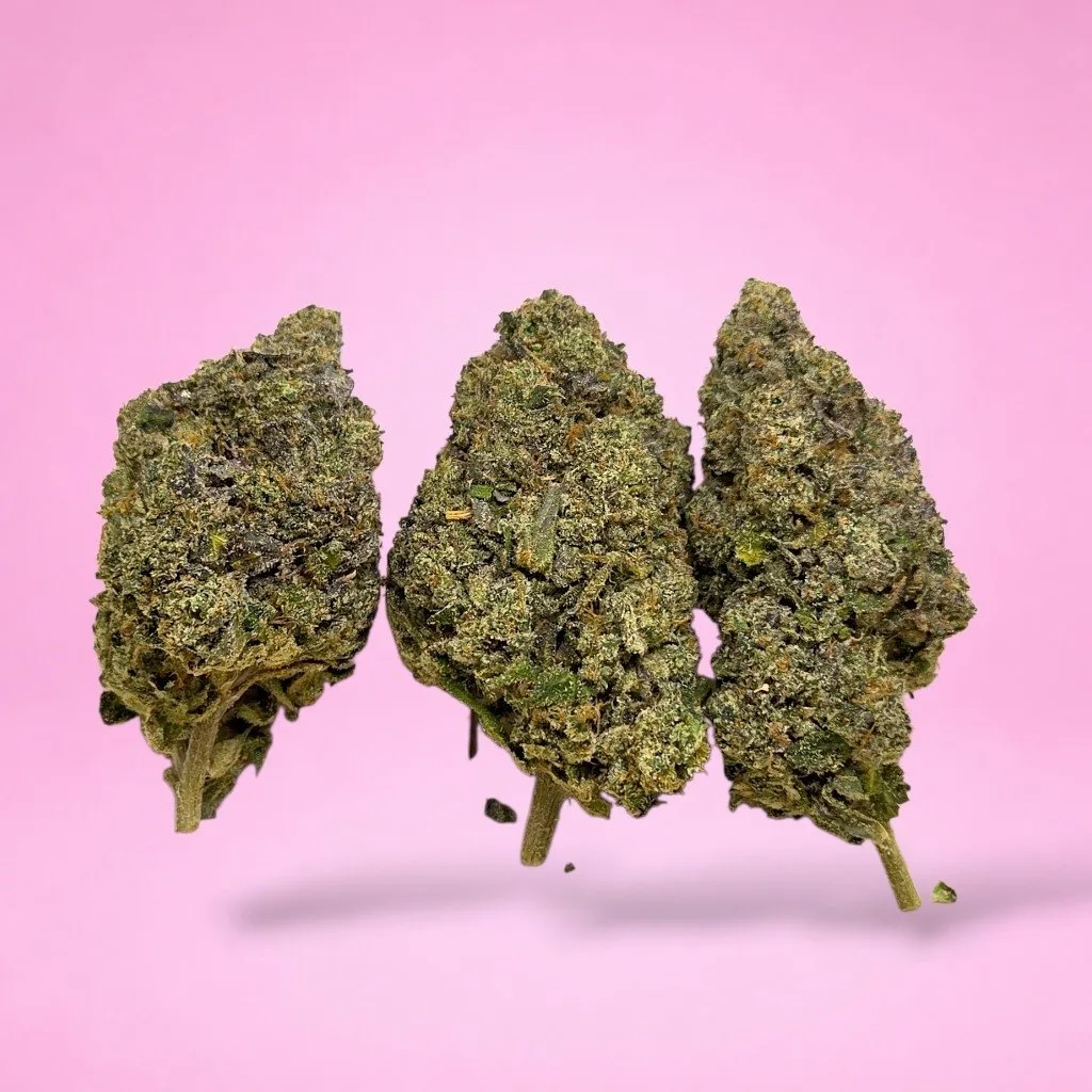 blueberry sherbet cannabis strain dense olive green buds blue undertones orange hairs trichomes
