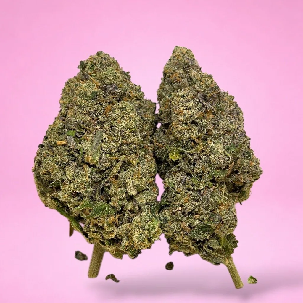 blueberry sherbet cannabis strain dense olive green buds blue undertones orange hairs trichomes