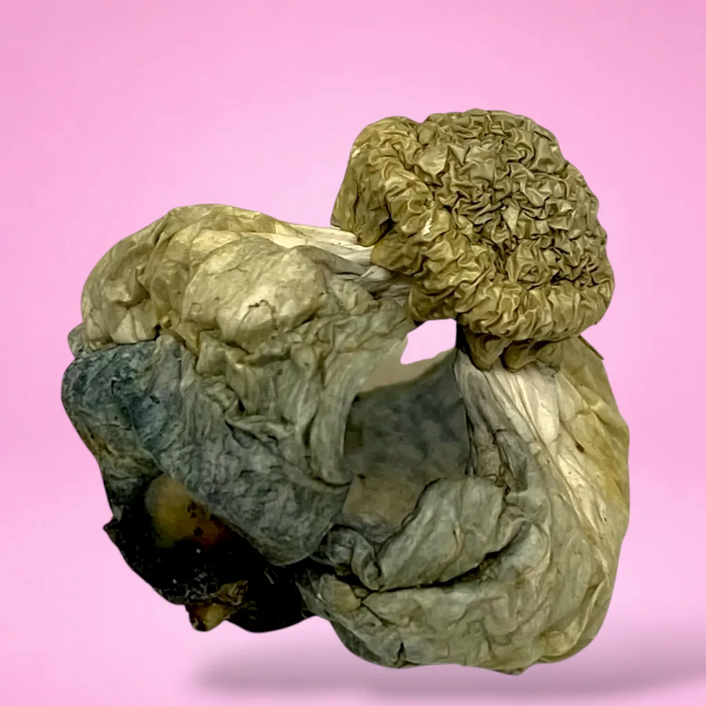 APER Psilocybin Mushrooms – High-potency mushrooms offering euphoria and mental clarity.
