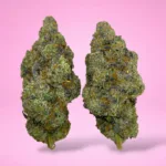 SOUR FUEL