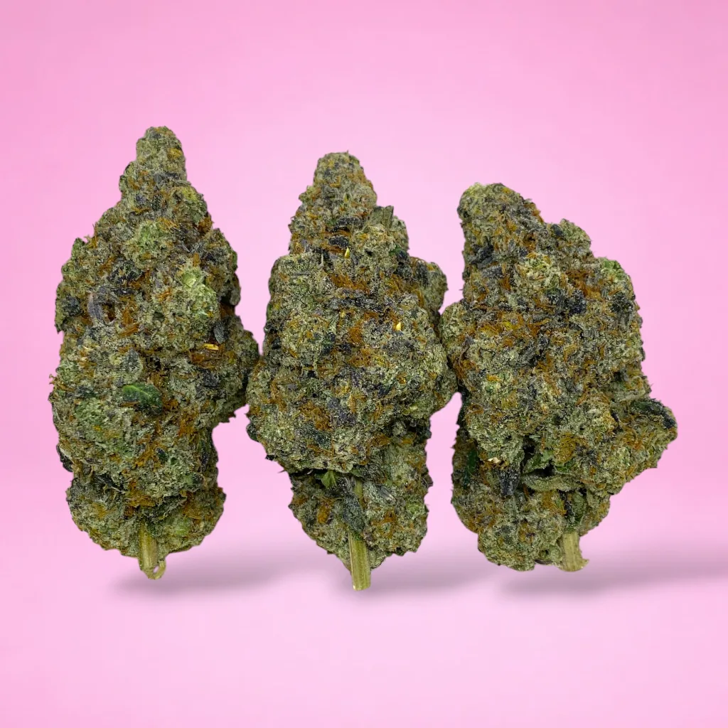 sour fuel cannabis strain dense green buds orange hairs diesel citrus aroma