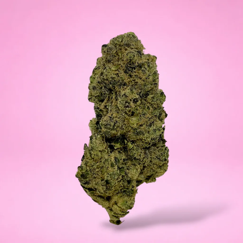 grape amnesia cannabis strain purple green buds orange pistils frosty trichomes