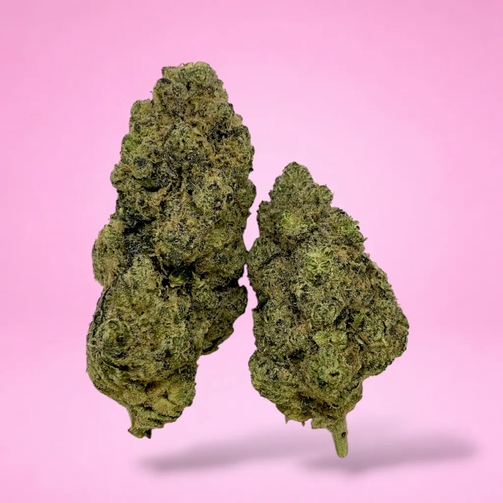 grape amnesia cannabis strain purple green buds orange pistils frosty trichomes