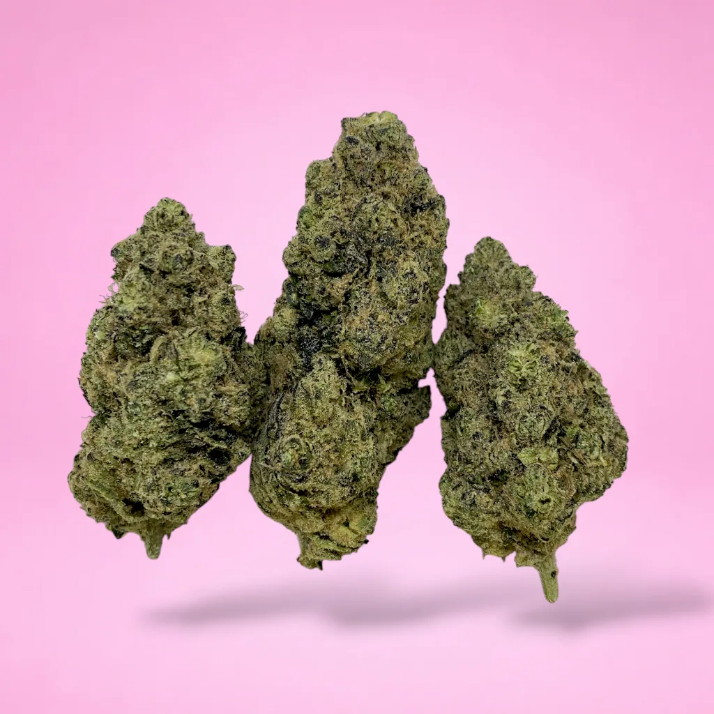 grape amnesia cannabis strain purple green buds orange pistils frosty trichomes