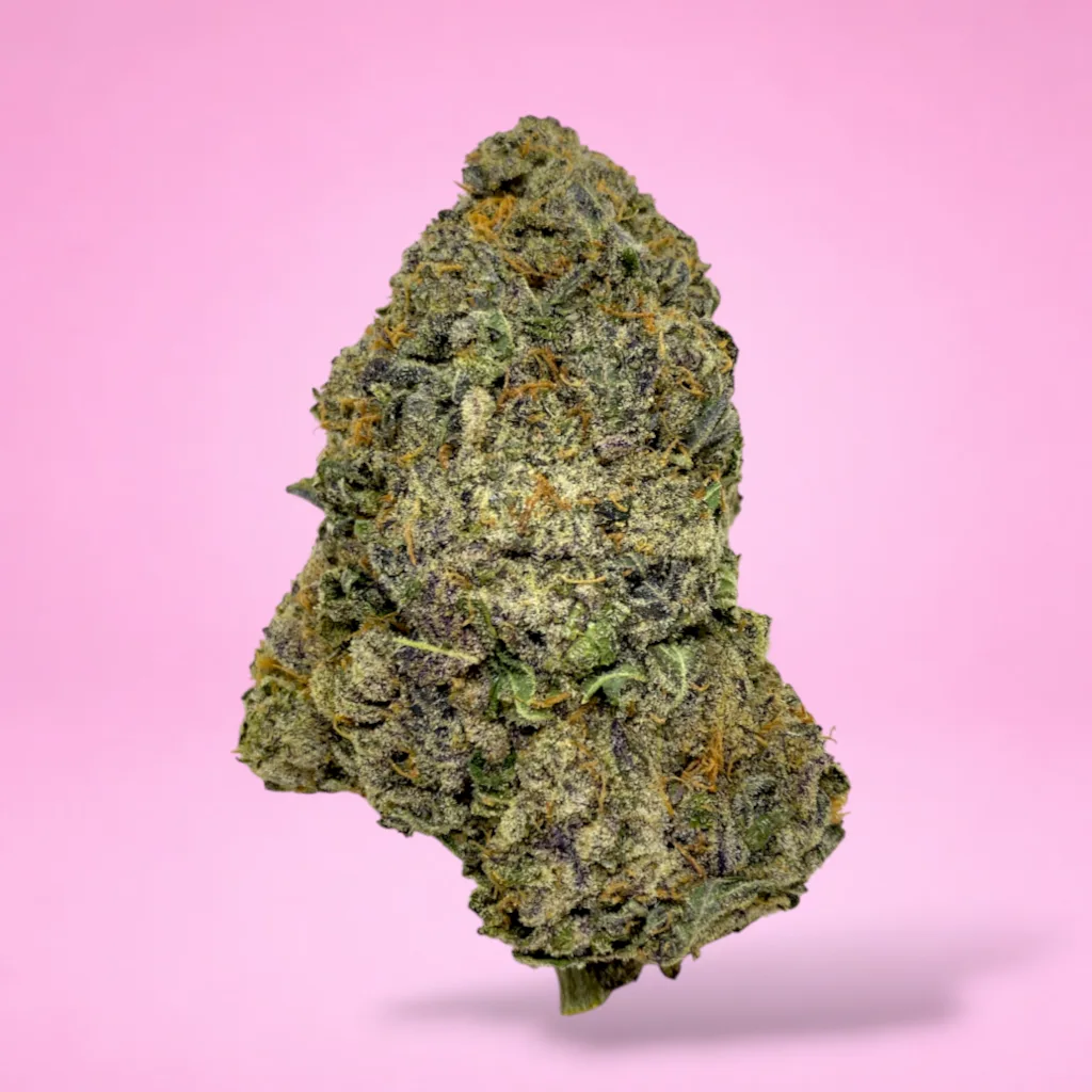 cinderella 99 cannabis strain compact resinous buds tropical citrus aroma