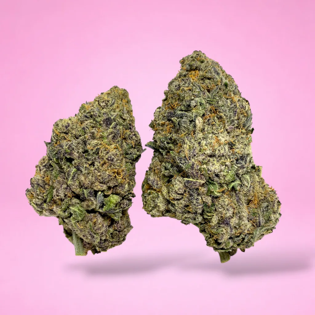 cinderella 99 cannabis strain compact resinous buds tropical citrus aroma