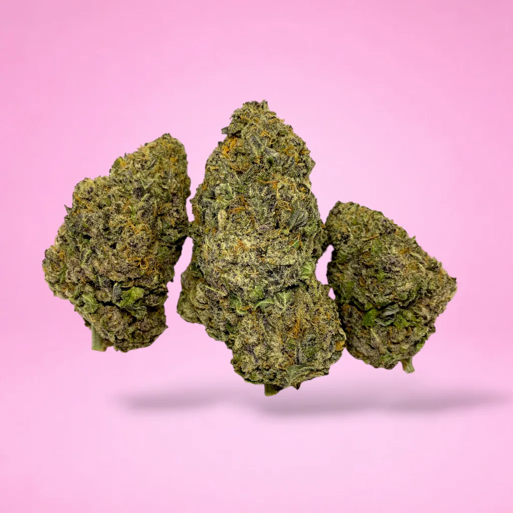 cinderella 99 cannabis strain compact resinous buds tropical citrus aroma