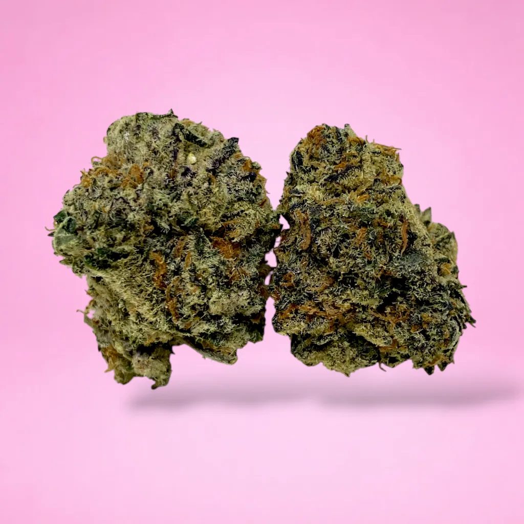 amnesia cannabis strain tall thin sativa buds resin coverage citrus aroma