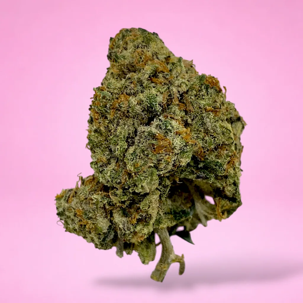 amnesia cannabis strain tall thin sativa buds resin coverage citrus aroma