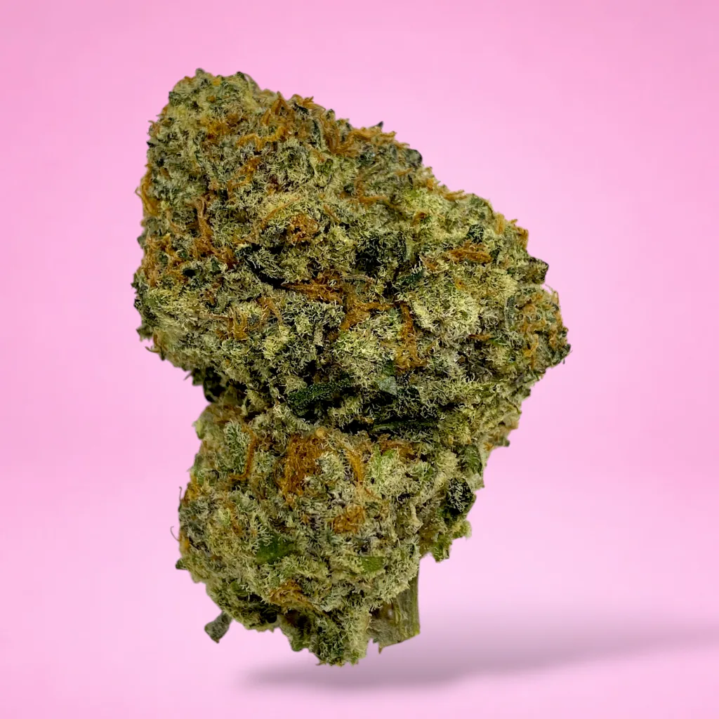 amnesia cannabis strain tall thin sativa buds resin coverage citrus aroma