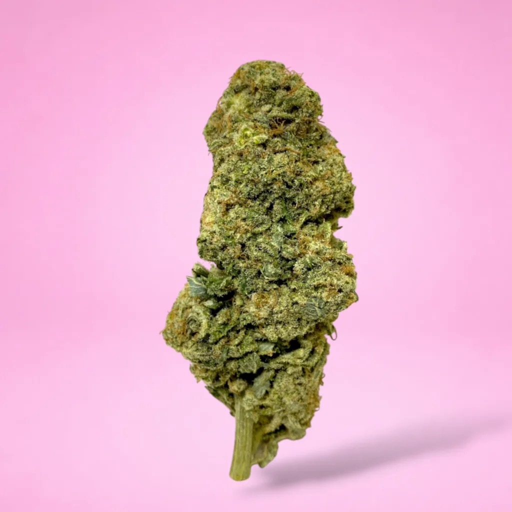 fruity pebbles cannabis strain purple green buds heavy trichome coverage