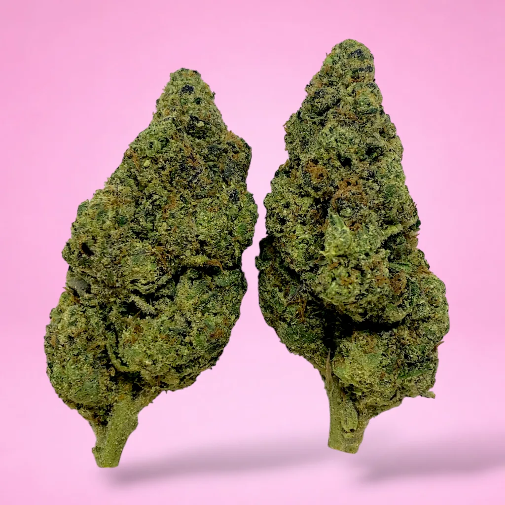 gruntz cannabis strain dense buds sweet fruity candy aroma heavy trichomes