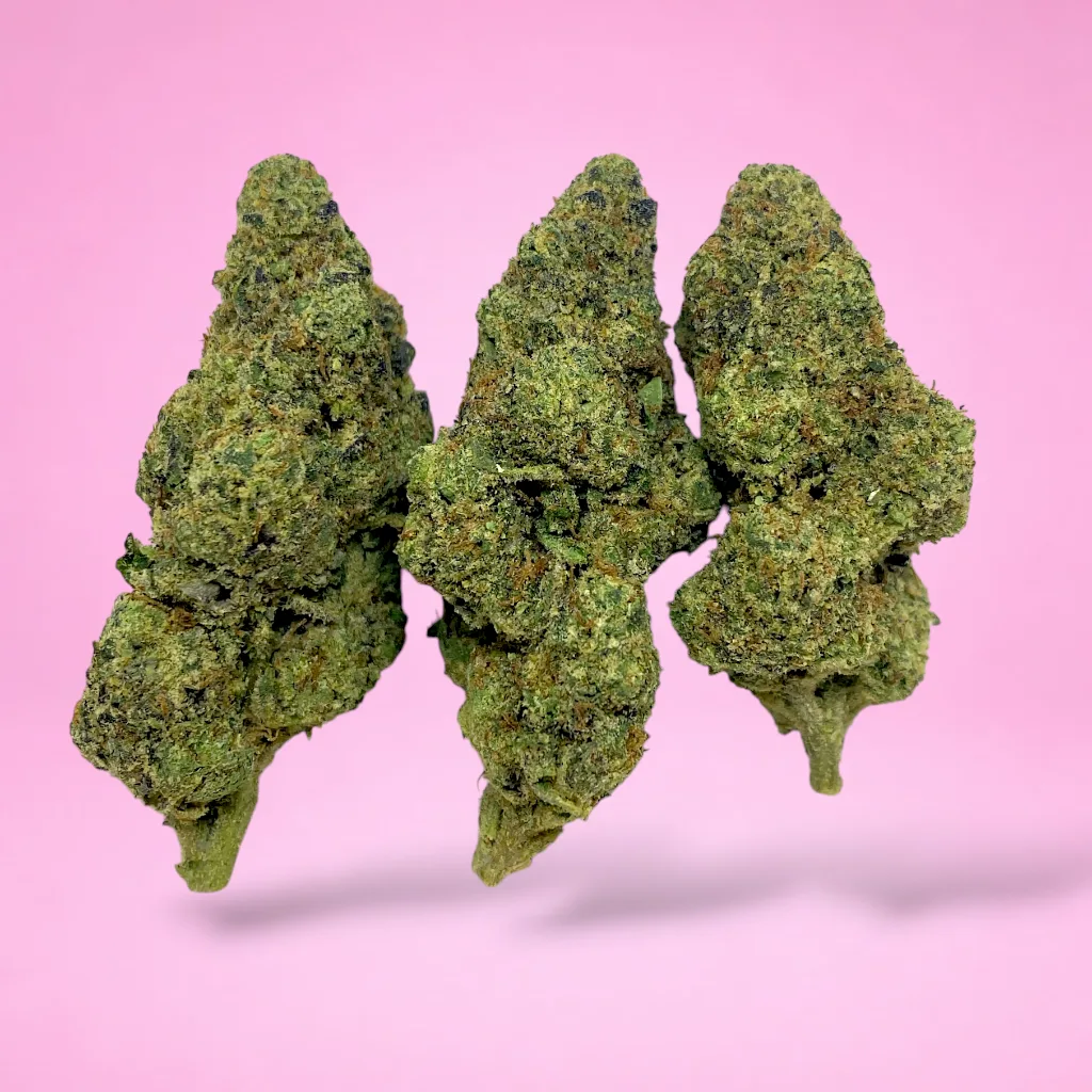 gruntz cannabis strain dense buds sweet fruity candy aroma heavy trichomes