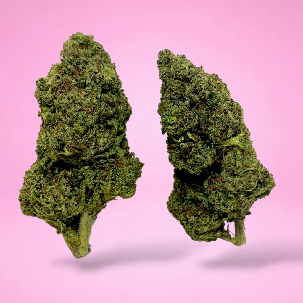 pinyatti cannabis strain dense buds tropical acai grape aroma