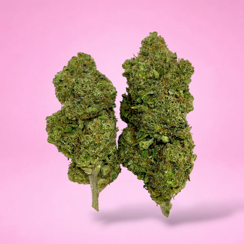 peach og cannabis strain dark olive green buds orange hairs peach aroma